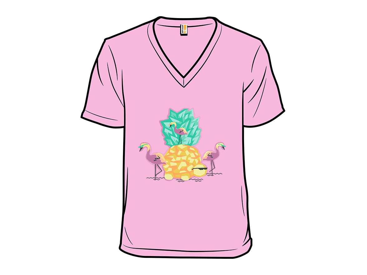 Pineapple Turtle & Friends - Gallery 6