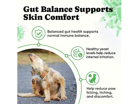 BuddyCheer Probiotics Dogs 180ct 4-Pre