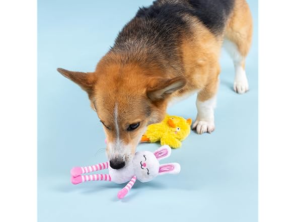 Fringe Studio Plush Dog Toy, 2 Pieces Set