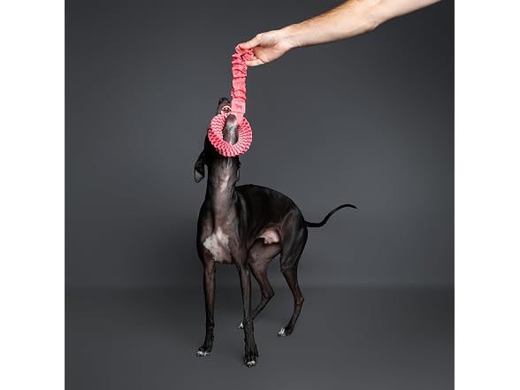 NOAH & PAW Luxury Dog Toy, Dog Rope Toy- Tug Ring, Pink