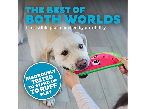 Outward Hound Tough Skinz Durable Squeaky Dog
