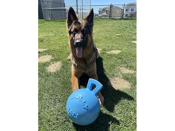 Jolly Pets 8-Inch Tug-n-Toss, Blueberry