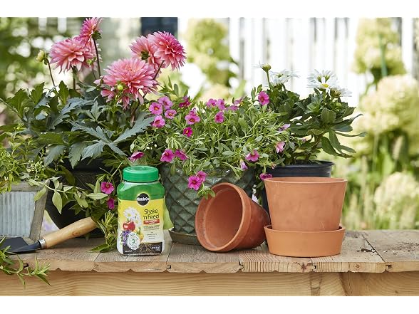Miracle-Gro Shake 'N Feed All Purpose, 1 lb. (6-pack)
