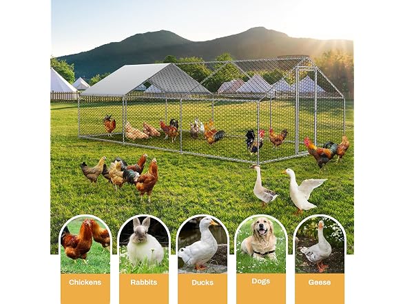 ROOMTEC Chicken Coop Large Metal Chicken Run