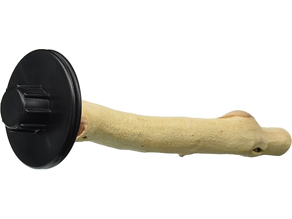 Sweet Feet and Beak Medium Manzanita