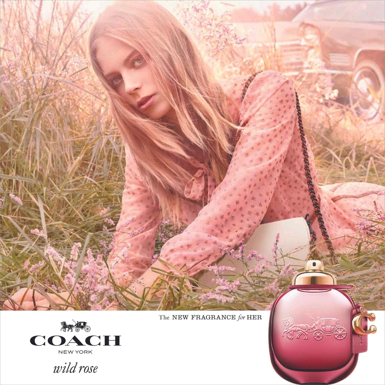 Coach Wild Rose Eau de Parfum Spray - Choose Size - Gallery 14