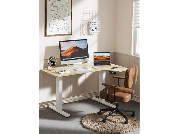 TotnzElectric Standing Desk 55 x 34 inch