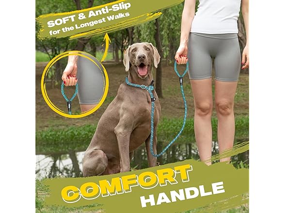 Fida Durable Slip Lead Dog Leash, 6 FT