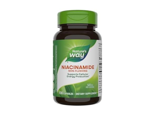 Nature's Way Niacinamide 500mg, 100ct