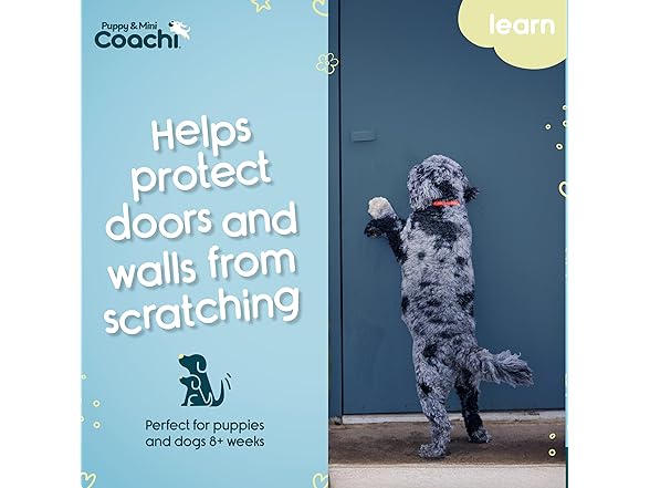 Coachi Puppy & Mini Toilet Training Bell
