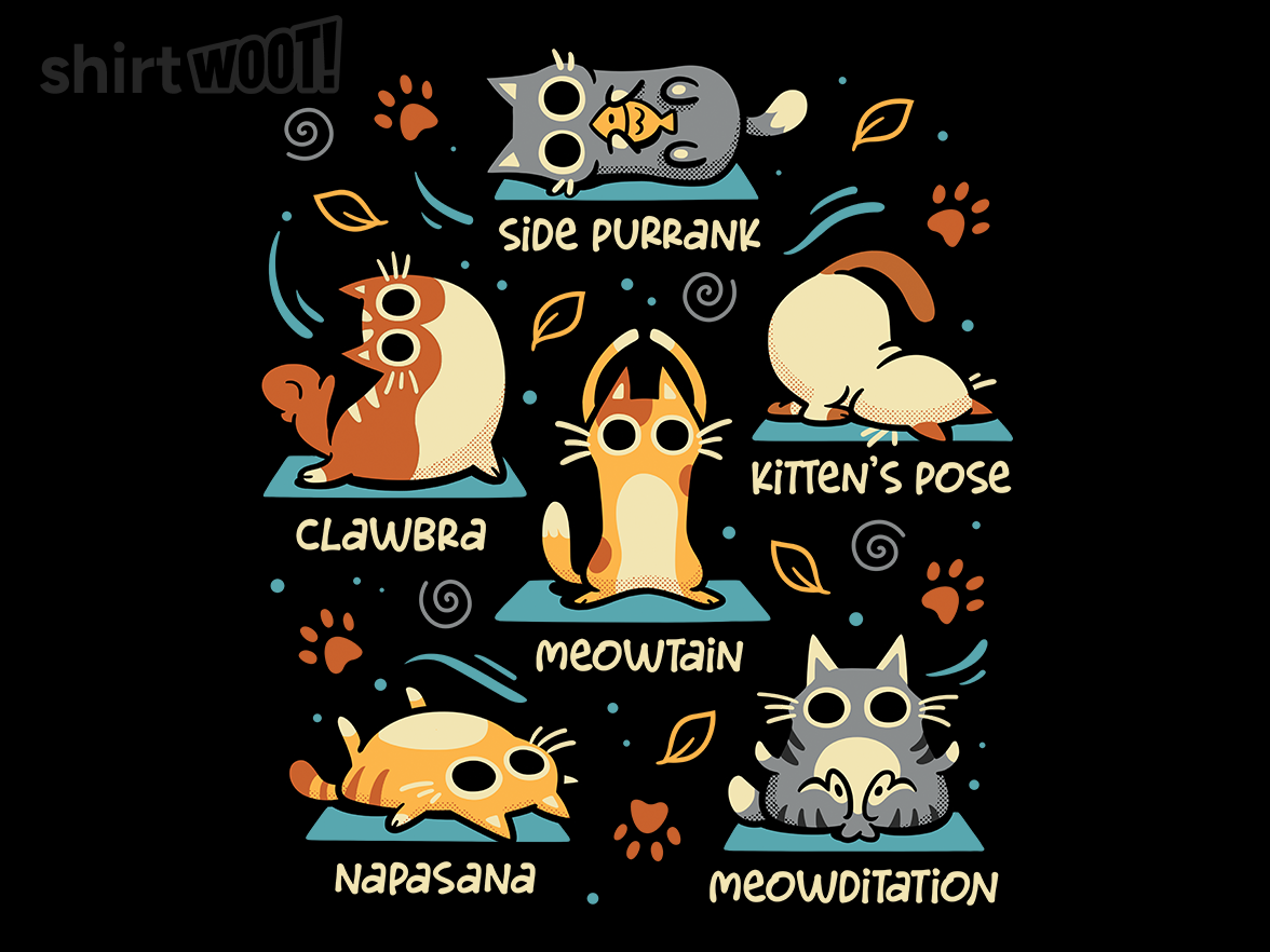 Cat Yoga Poses - Gallery 9