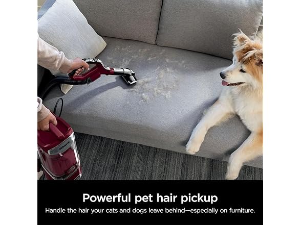 Shark Detect Lift-Away Corded Upright Vacuum