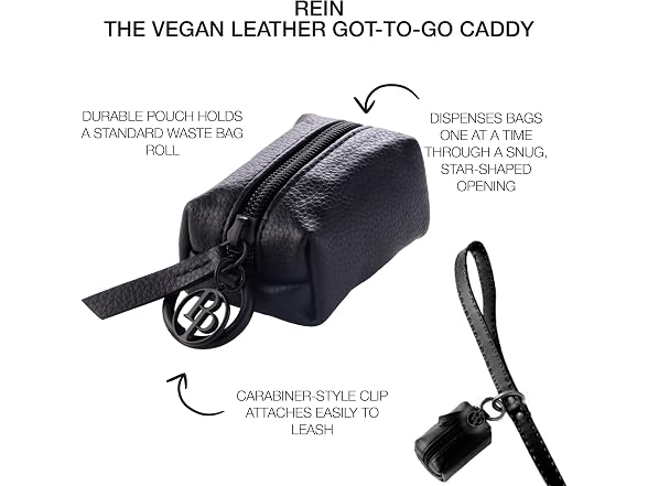 Rein - The Recycled Vegan Leather Pouch w Bags