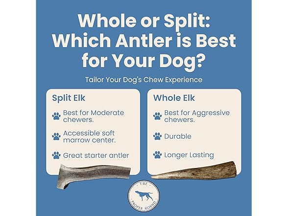 The Proper Hound Whole Elk Antlers for Dogs Sz L