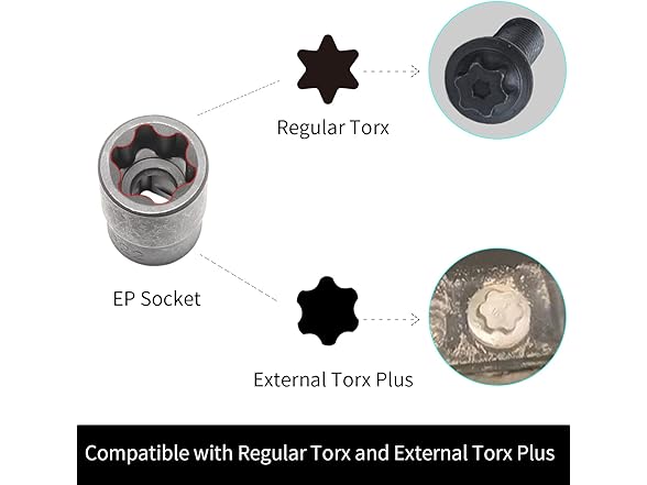 External Torx Plus Socket Set