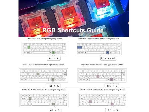 Keychron Q9 52-Key 40% Layout Enthusiast Mechanical Keyboard