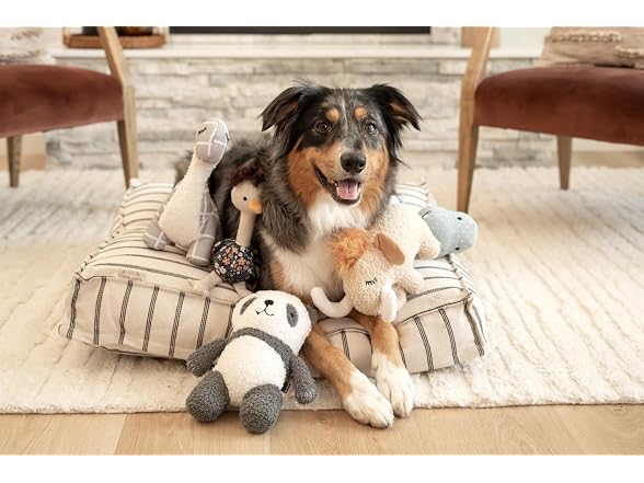 Harry Barker Harry Barker Dog Plush Toy Collection