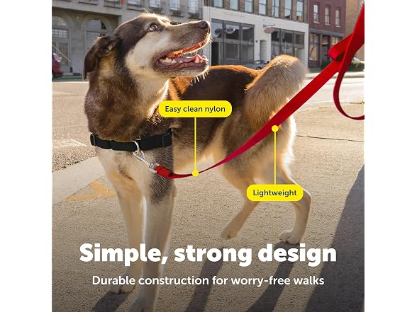 PetSafe Nylon Dog Leash 3/4" x 4', Red