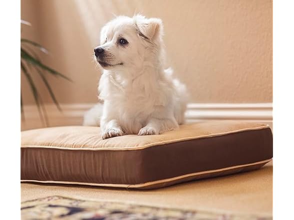 New Age Pet Dog Bed Cushion Crate Pad