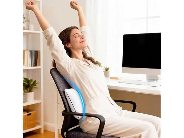 Pillow Insert Set of 2