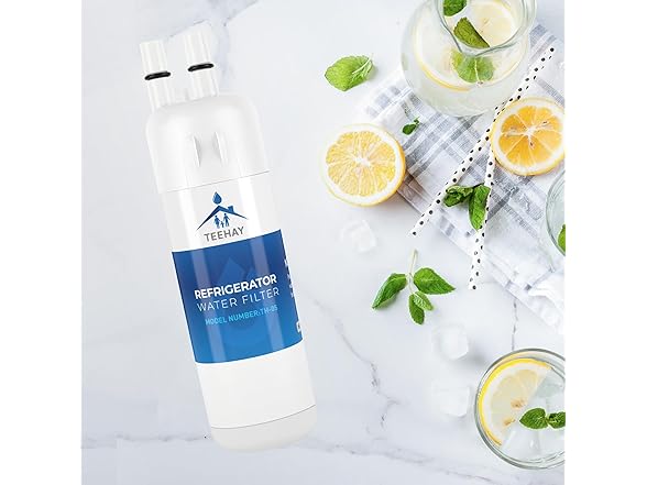 TEEHAY Water Filter 2-Pack