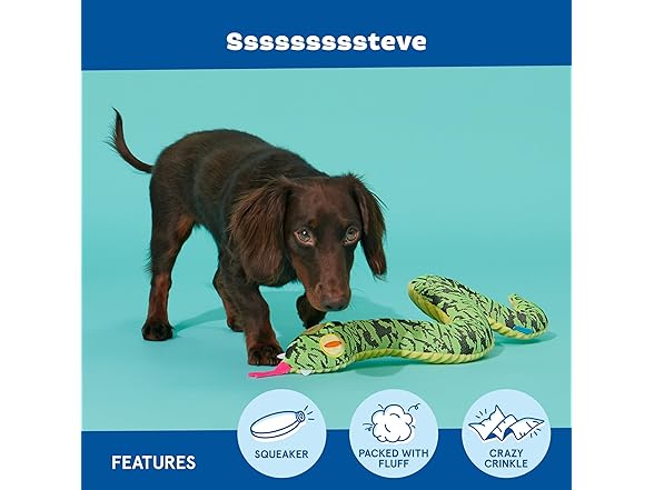 Barkbox Ssssssssteve Dog Toy | Plush Snake