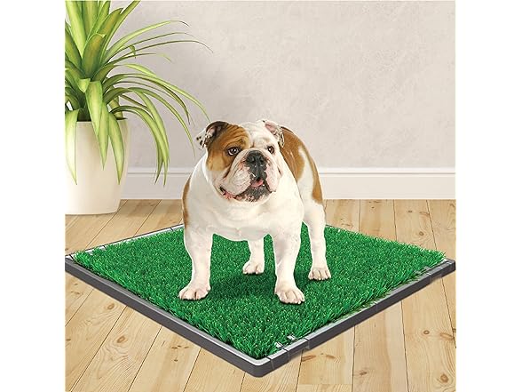 Four Paws Wee-Wee Premium Patch