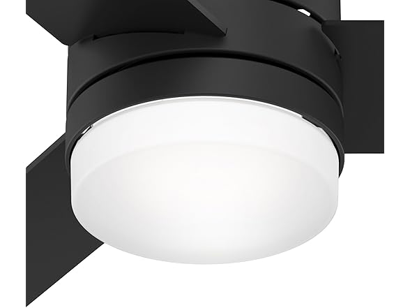 Hunter Fan 54" w/ Light Kit and Remote