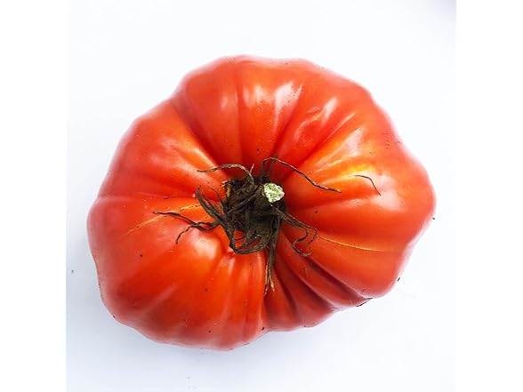 Large Red Heirloom Tomato Seeds 150pc