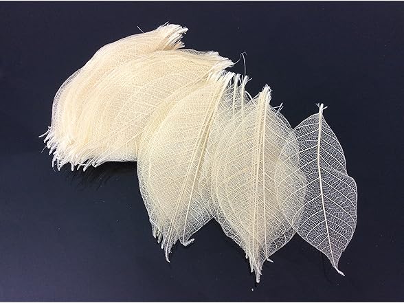 Natural Rubber Skeleton Leaves