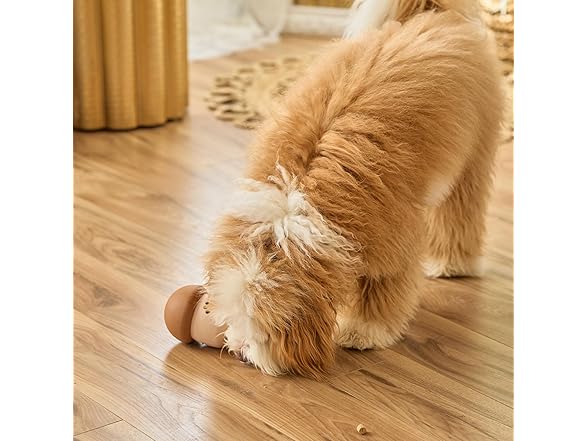 SPOT Treat Tumbler Mushroom – Freezable & Fillable