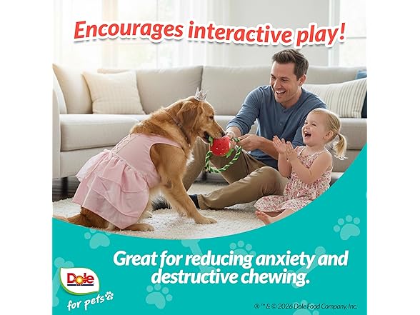 Dole for Pets Dog Rope Toy with Squeakers Strawberry