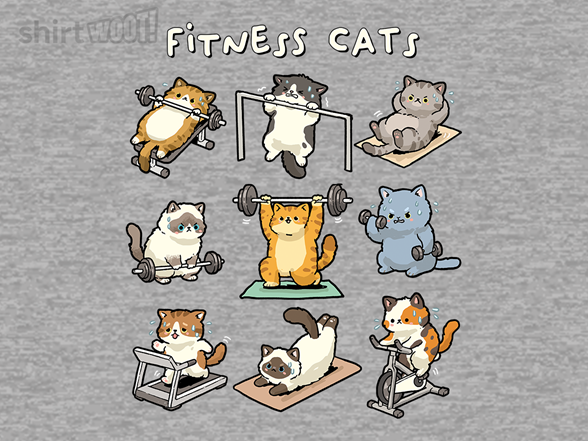 Fitness Cats