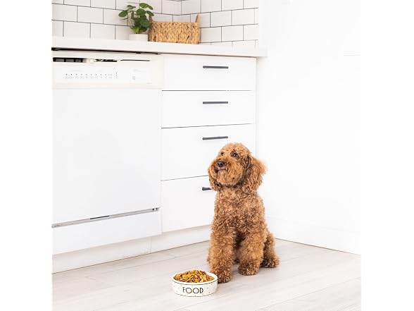 Pearhead Ceramic Dog Food Bowl – Bistro Tile