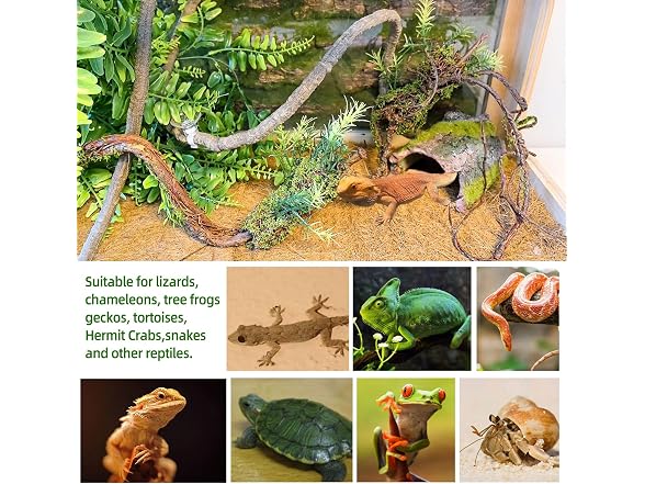 BNOSDM Reptile Plants, Flexible Rainforest Vines w Moss