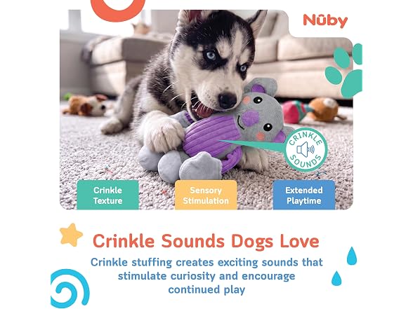 Nuby Nuby Pull & Tug Dog Toy Interactive