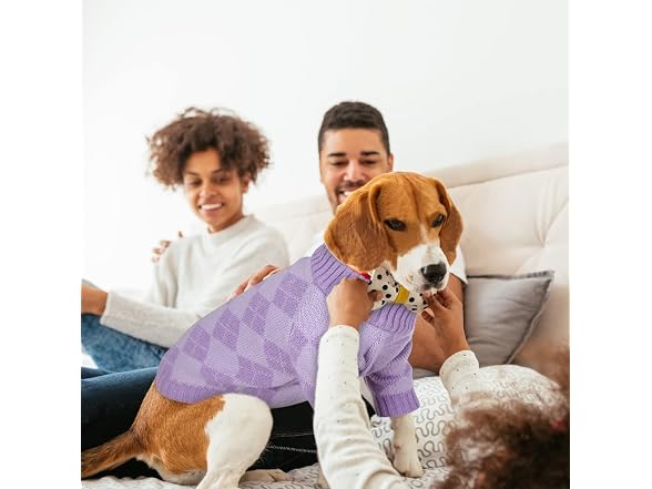 Queenmore Puppy Sweater - Warm Dog Turtleneck