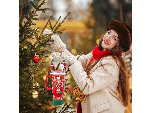 Stanley Cup Accessories Set