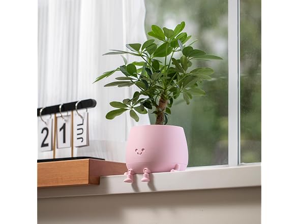 TOPOLA Happy Face Planter