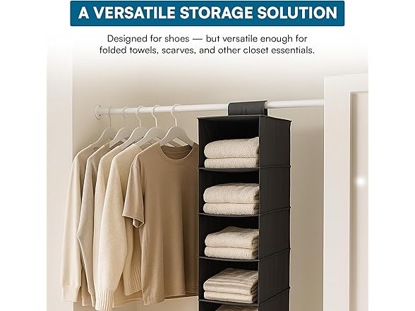 Honey-Can-Do 10-Shelf Hanging Shoe Organizer, Black 