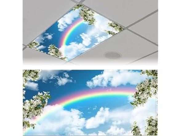 Fluorescent Light Covers 4x2ft 2Pcs