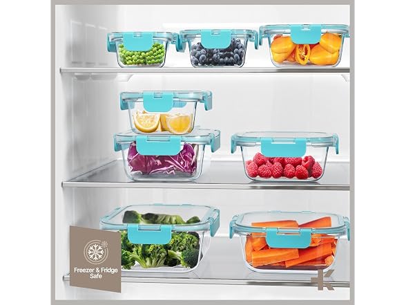 Borosilicate Glass Food Storage Containers with Lids 24 Piece Aqua