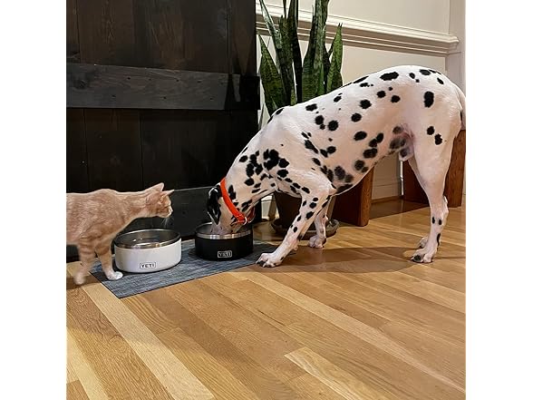 YETI Boomer 8, Stainless Steel, Non-Slip Dog Bowl