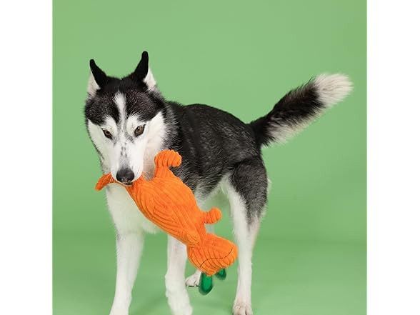 Fringe Studio Plush Dog Toy, Carrot ‘Bout Y