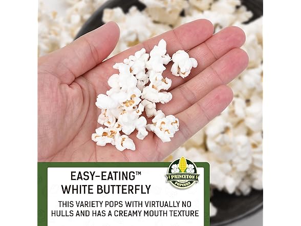 White Butterfly Hulless Popcorn Kernels