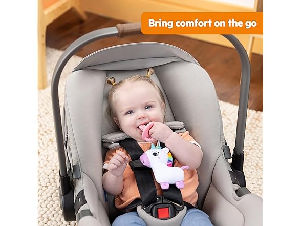 Bright Starts SootheMate Plush Baby Teether Toy