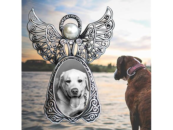 Angel Wings Pet Memorial Gift