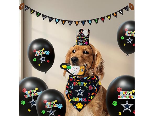 NFL Dallas Cowboys Pet Birthday Crown, NFL