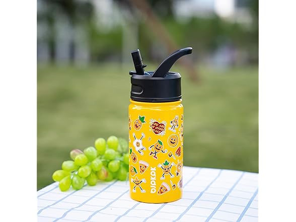 BJPKPK Stainless Steel Insulated Water Bottle 15oz