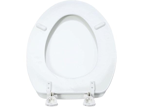 Glacier Bay Elongated Enameled Wood Closed Front Toilet Sea